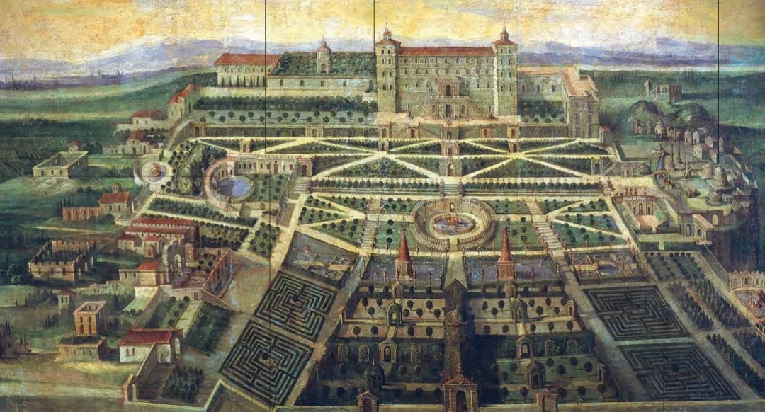 红衣主教来源,红衣主教月季分布区域