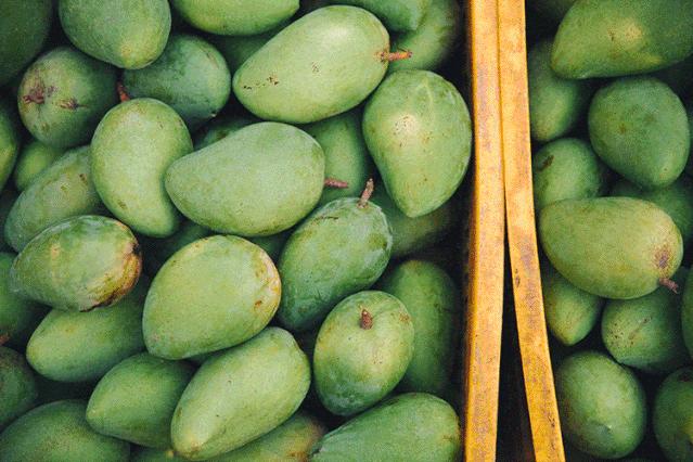 想吃芒果但是又买不到怎么办,想吃芒果又没有该怎么办