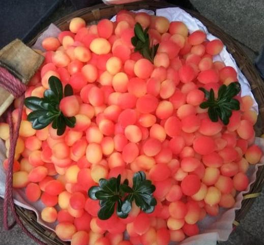 红色的色素假水果,各种假水果大全