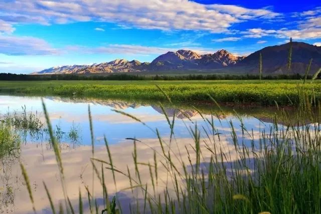 这条最“咸”最彩的公路，治好了我*藏西**的病，解掉了我*疆新**的毒