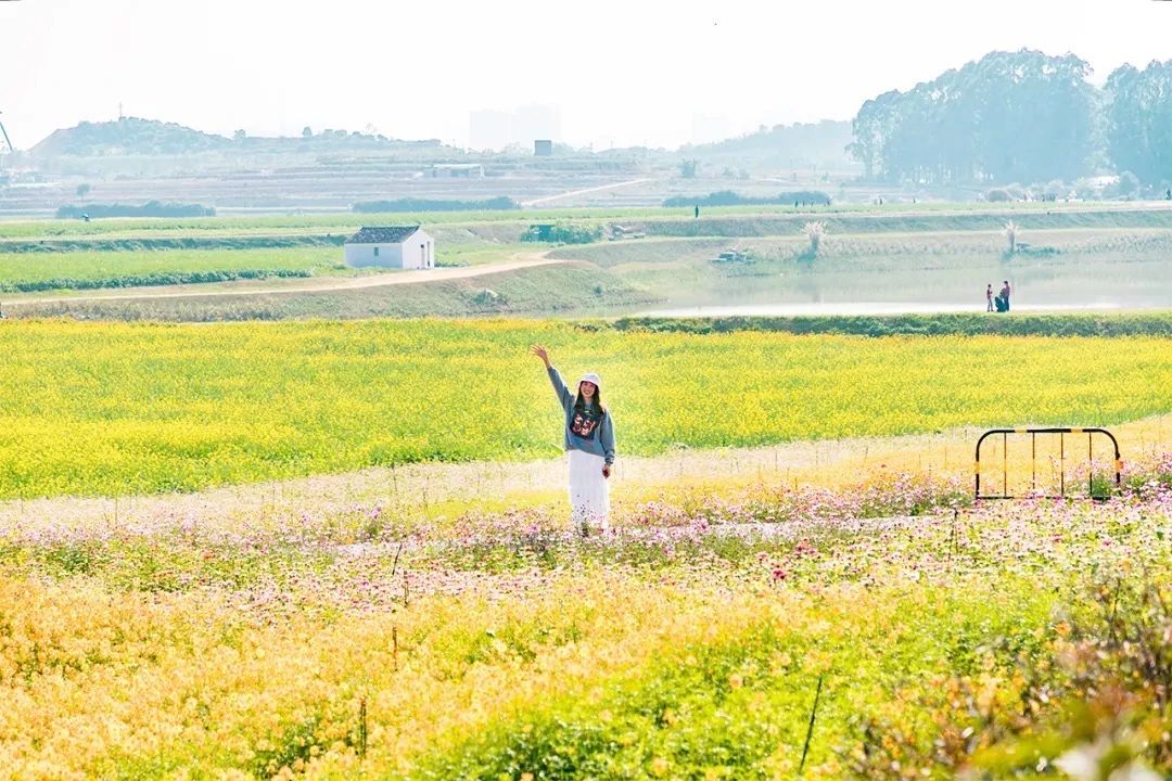 深圳周末带孩子免费游玩好去处,2021深圳免费适合遛娃玩地方排名