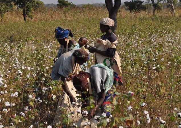 一个家家都是“亿元户”的非洲穷国——津巴布韦