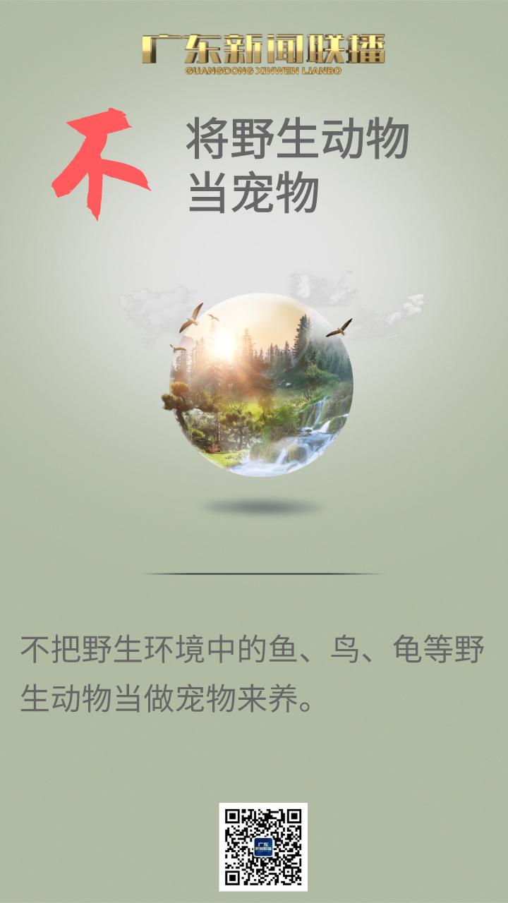 为了保护它们，广东实施这个工程