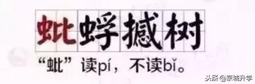 小学语文成语句子专项练习,小学生必背成语及解释造句