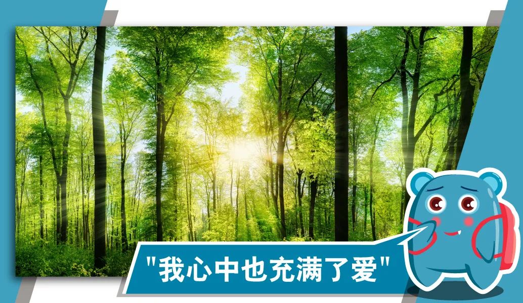 shapeofmyheart如何评价,shapeofheart是什么意思