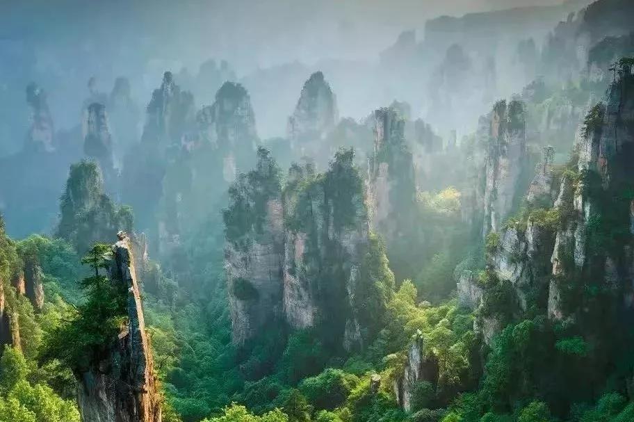 上得了海岛下得了雨林,上得了高山下得了河