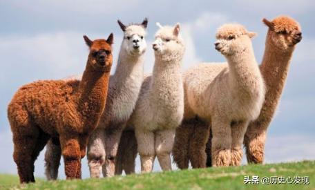 晚明时期人文的特征,晚明文人审美特征是什么