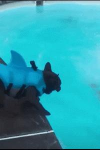 鎼炵瑧gif娈靛瓙濡瑰瓙浣犲お鐨簡,鎼炵瑧gif娈靛瓙濡瑰瓙鏈夌偣澶窐姘斾簡