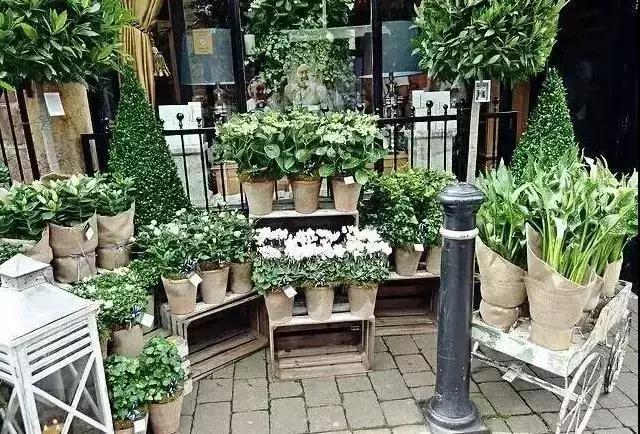 开网上花店的步骤,手把手教你开花店