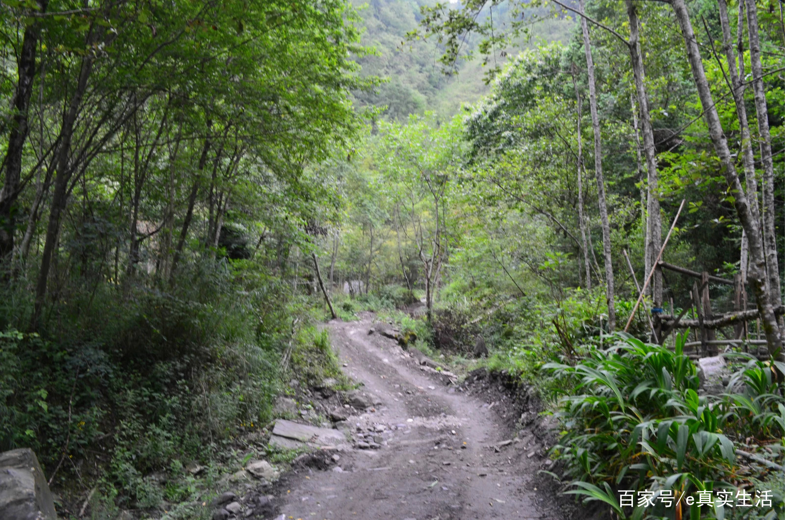 上里古镇，一个名副其实的古镇，人很少，跟丽江大研古城有的一比