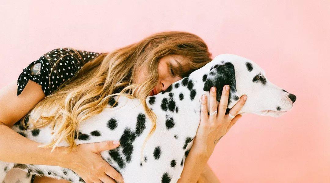 福利来了四个字图片大全,获取免费商业图片的网站