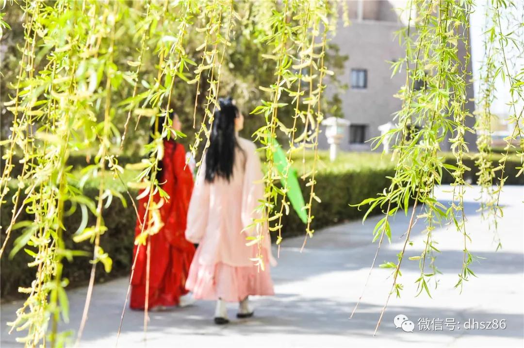 敦煌鸣沙山下百花争艳,甘肃敦煌鸣沙山下杏花枝头春意闹