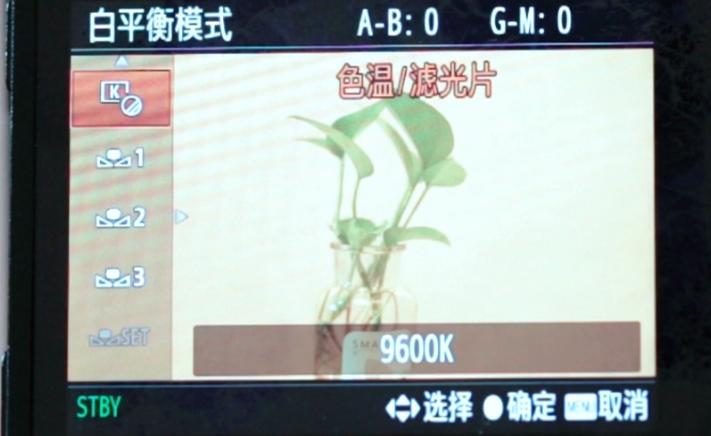 索尼微单相机拍视频技巧,索尼微单拍视频哪一款实用