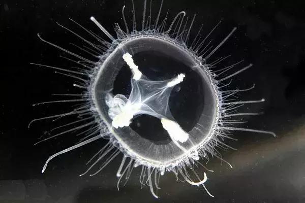 想去古城去哪里好,镇远古镇住宿攻略江景