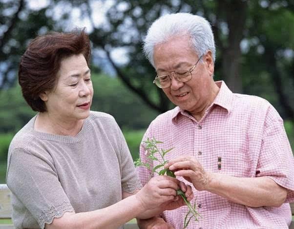 丁克晚年生活悲凉,第一批丁克退休后悔吗