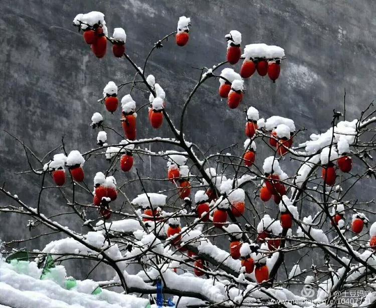 惊艳！乐清这里竟藏一处鲜有人至的世外桃源