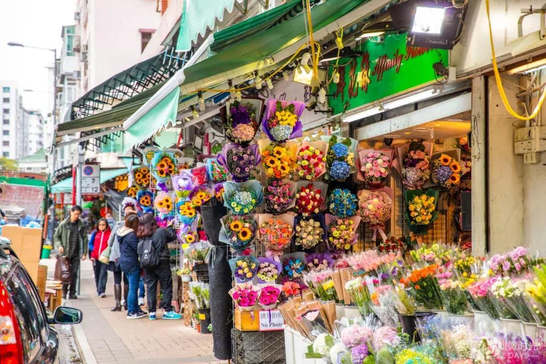 香港小众地点大全,香港最好逛的地方