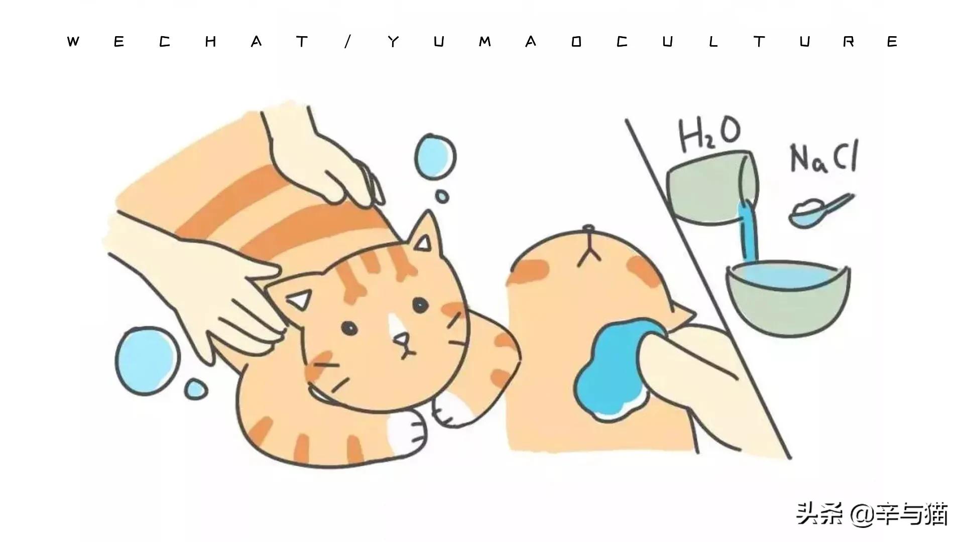 猫咪黑下巴原因及解决办法,猫咪黑下巴能剃下巴毛吗