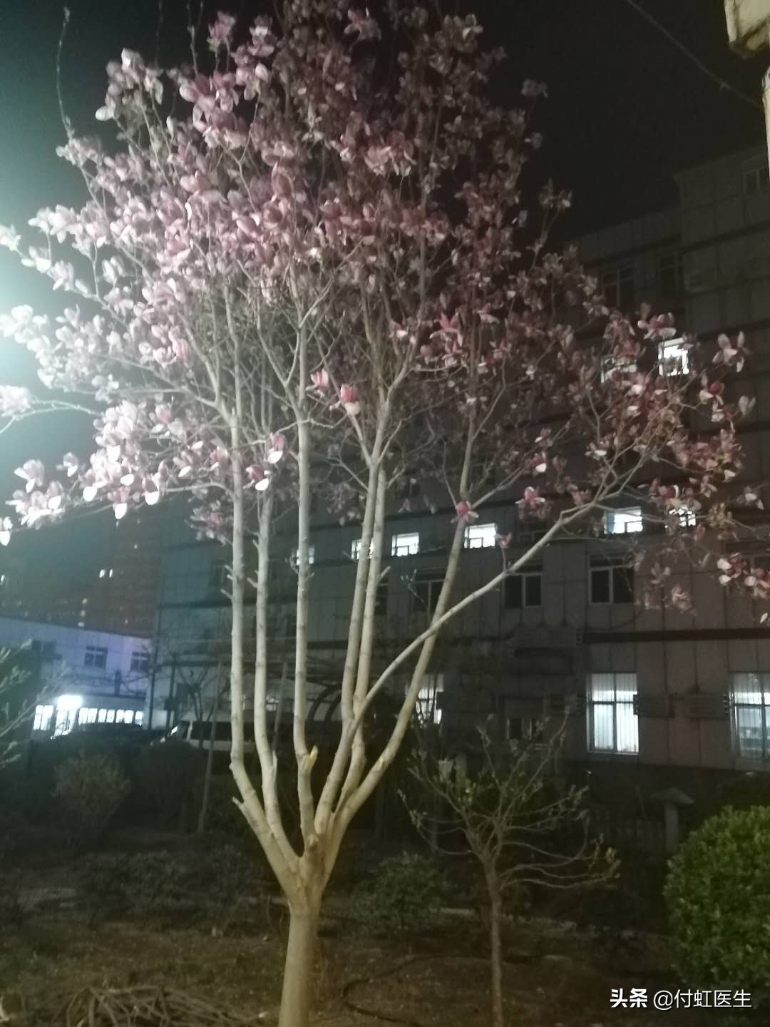 怀孕初期肚子疼就一定是宫外孕吗,宫外孕肚痛是什么原因