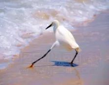 跌宕三十年,腾讯和任天堂在中国的“修炼”之路