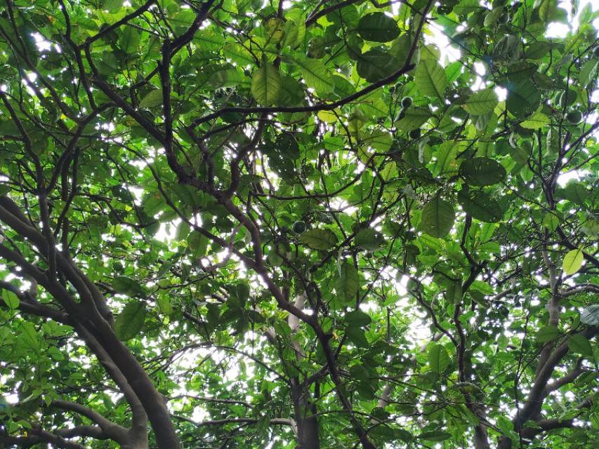 杭州古城门十门,杭州十大古城门