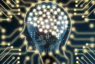 当幸福来敲门奋斗过程,当幸福来敲门个人启示