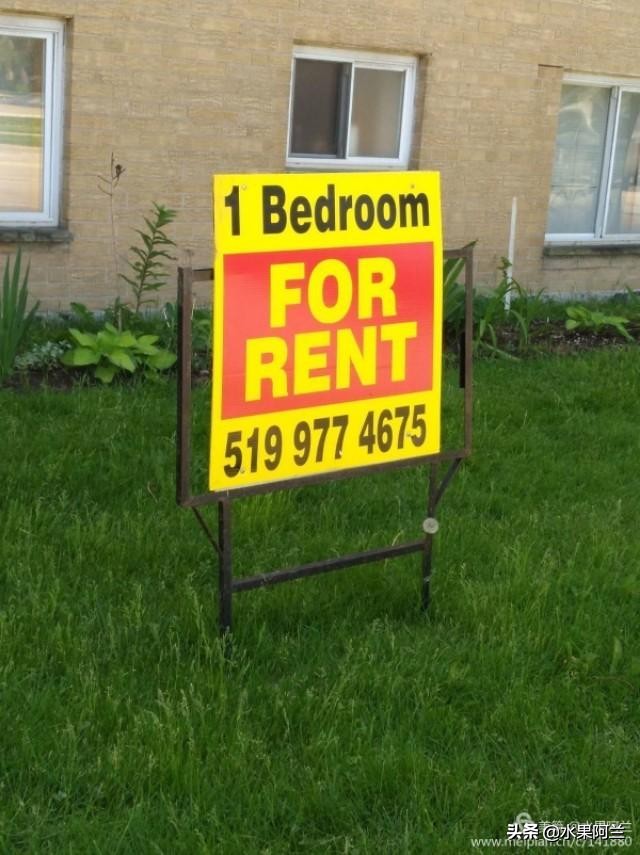 新西兰旅游攻略租车,加国自驾游攻略