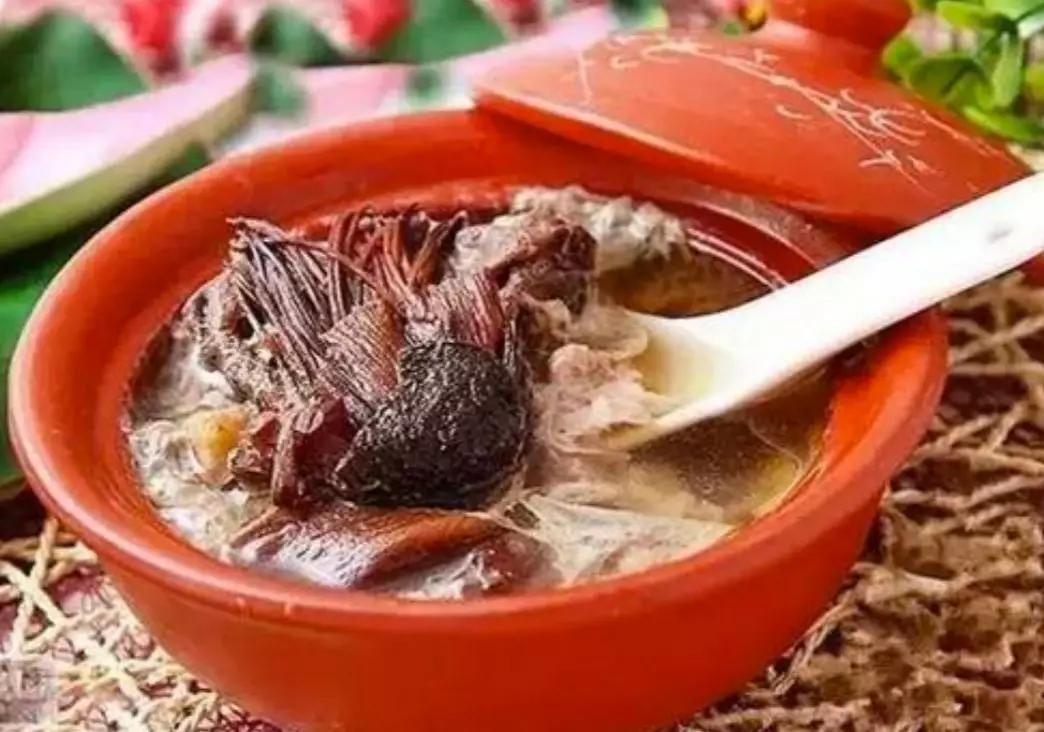 胡博士说中医,胡博士说中医的视频