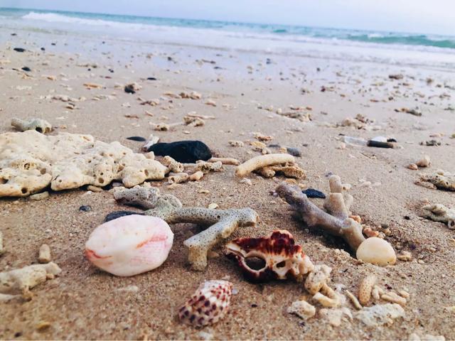 成都北海涠洲岛自由行,成都到涠洲岛攻略