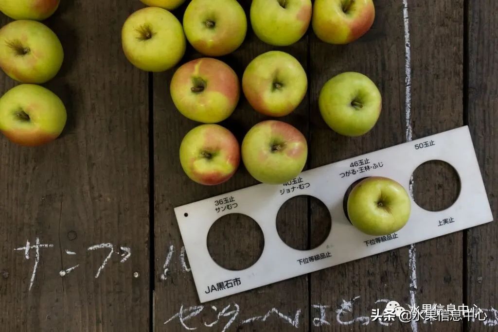 为什么日本苹果质量比中国的好,日本青森苹果种植