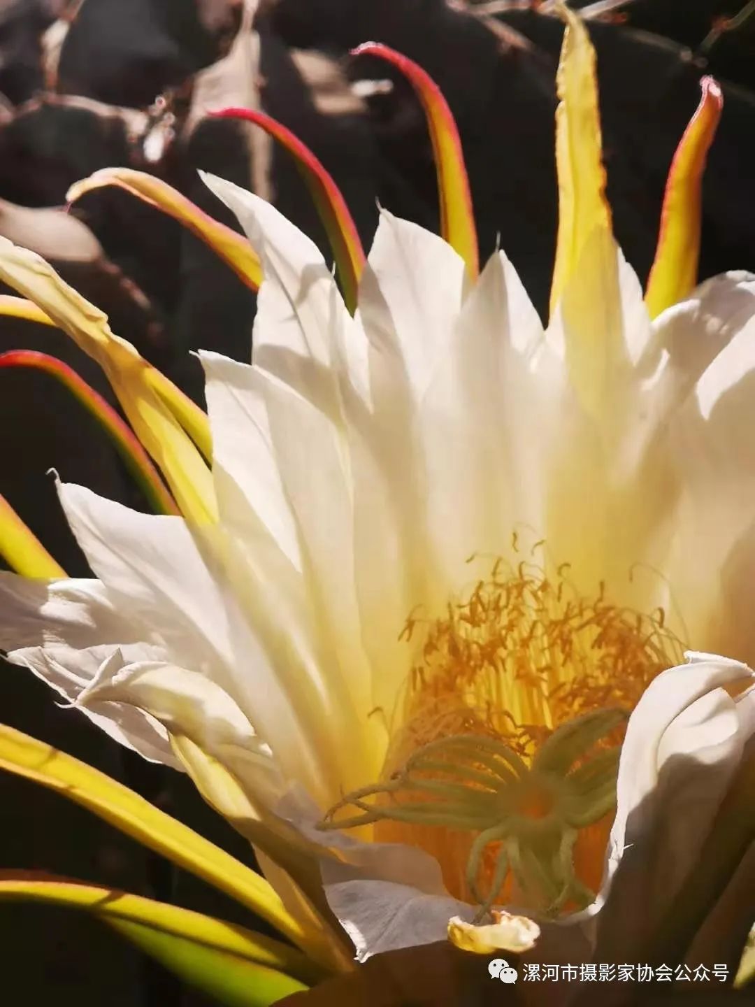 抗击新冠疫情专题展,抗击疫情专题展开展