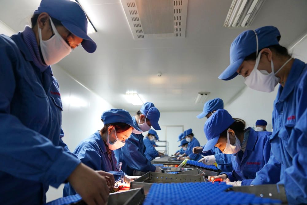 龙江疫情,龙江防疫