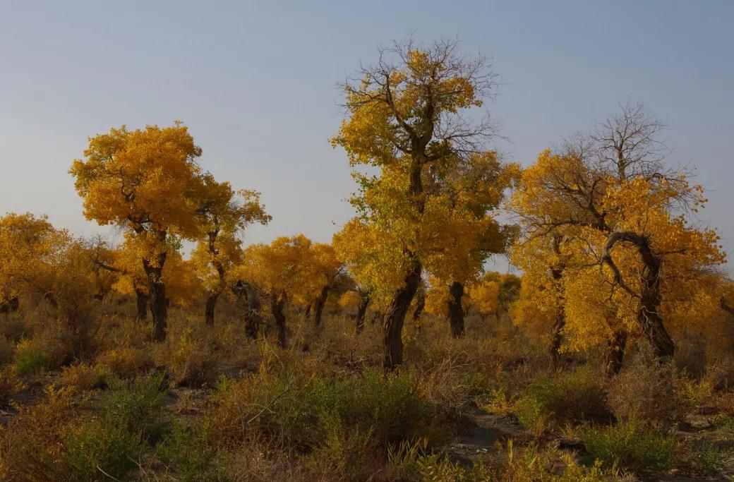 看看*疆新**哈密伊吾值不值得你去？,1