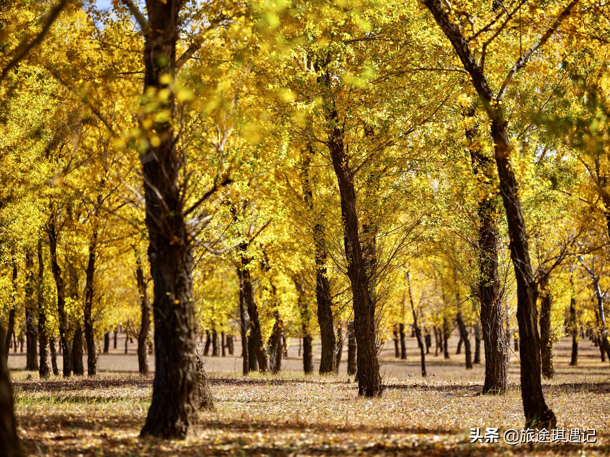 <html>
<head><title>502BadGateway</title></head>
<body>
<center><h1>502BadGateway</h1></center>
<hr><center>nginx</center>
</body>
</html>
<!--apaddingtodisableMSIEandChromefriendlyerrorpage-->
<!--apaddingtodisableMSIEandChromefriendlyerrorpage-->
<!--apaddingtodisableMSIEandChromefriendlyerrorpage-->
<!--apaddingtodisableMSIEandChromefriendlyerrorpage-->
<!--apaddingtodisableMSIEandChromefriendlyerrorpage-->
<!--apaddingtodisableMSIEandChromefriendlyerrorpage-->
