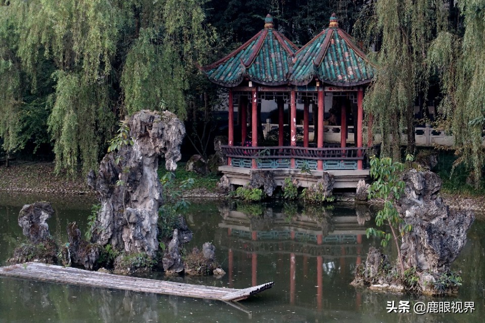 ［鹿眼视界·我的随拍］之346金牛宾馆，牛