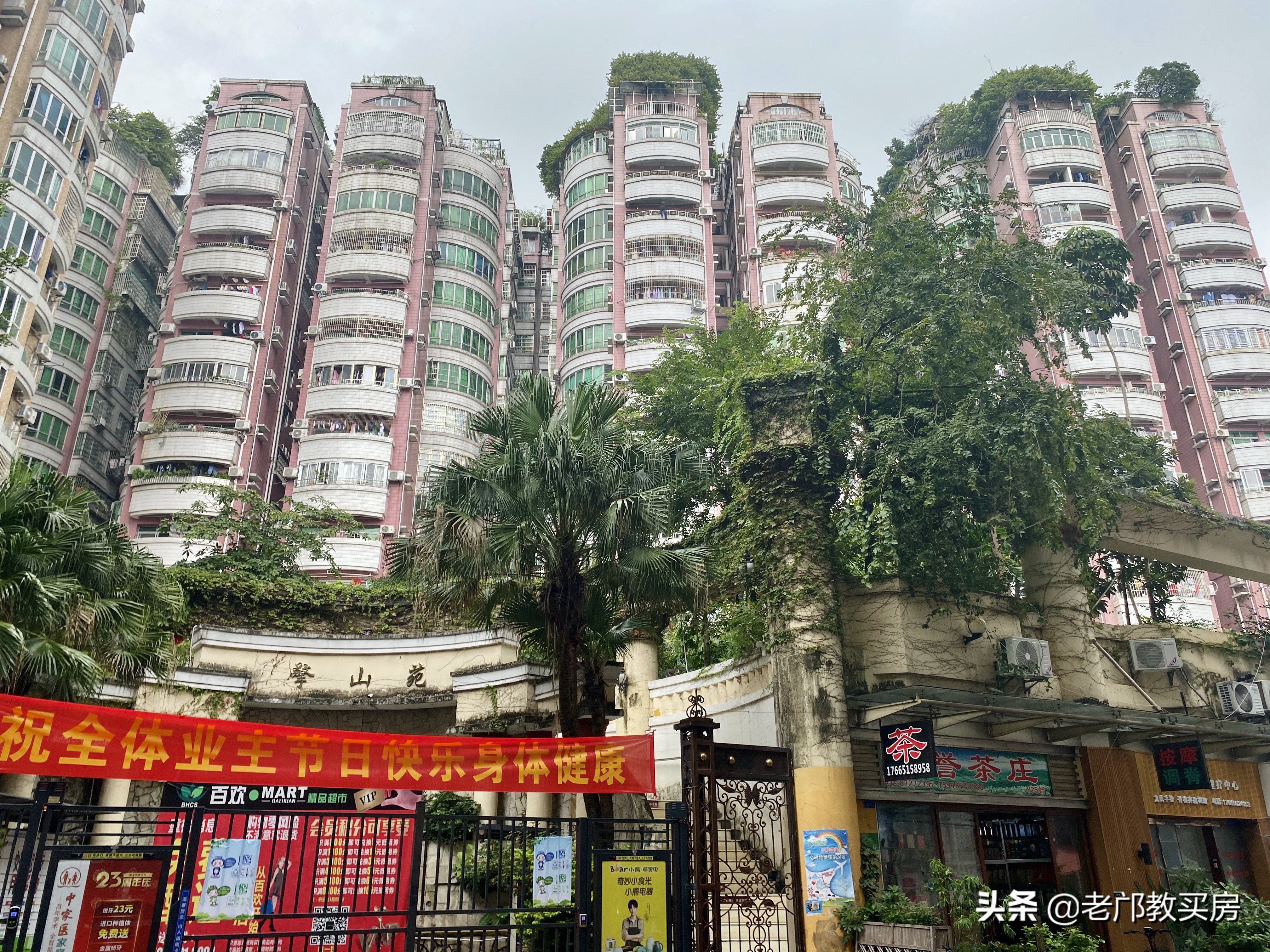 白云同和梅花园板块,白云梅花园板块怎么样