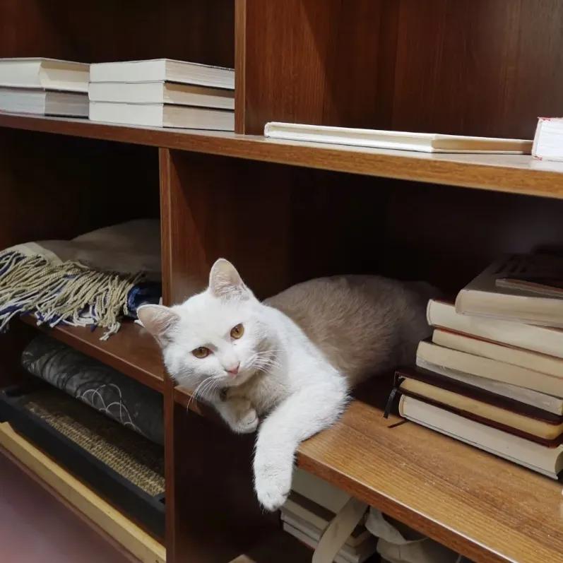 用阅读触摸成都｜在成都不能错过的10家书店（下）