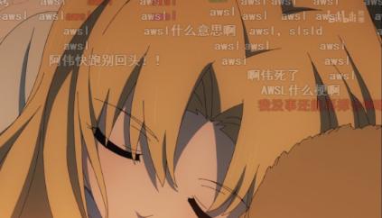 没有弹幕和全屏了,没有弹幕选项