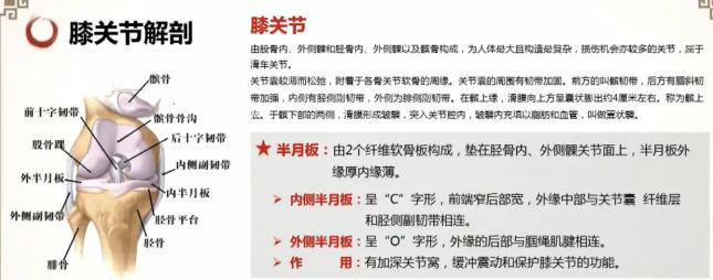 膝关节内侧按压疼,膝关节内侧突发有个包