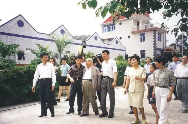 银鹭集团雀巢,雀巢银鹭合作