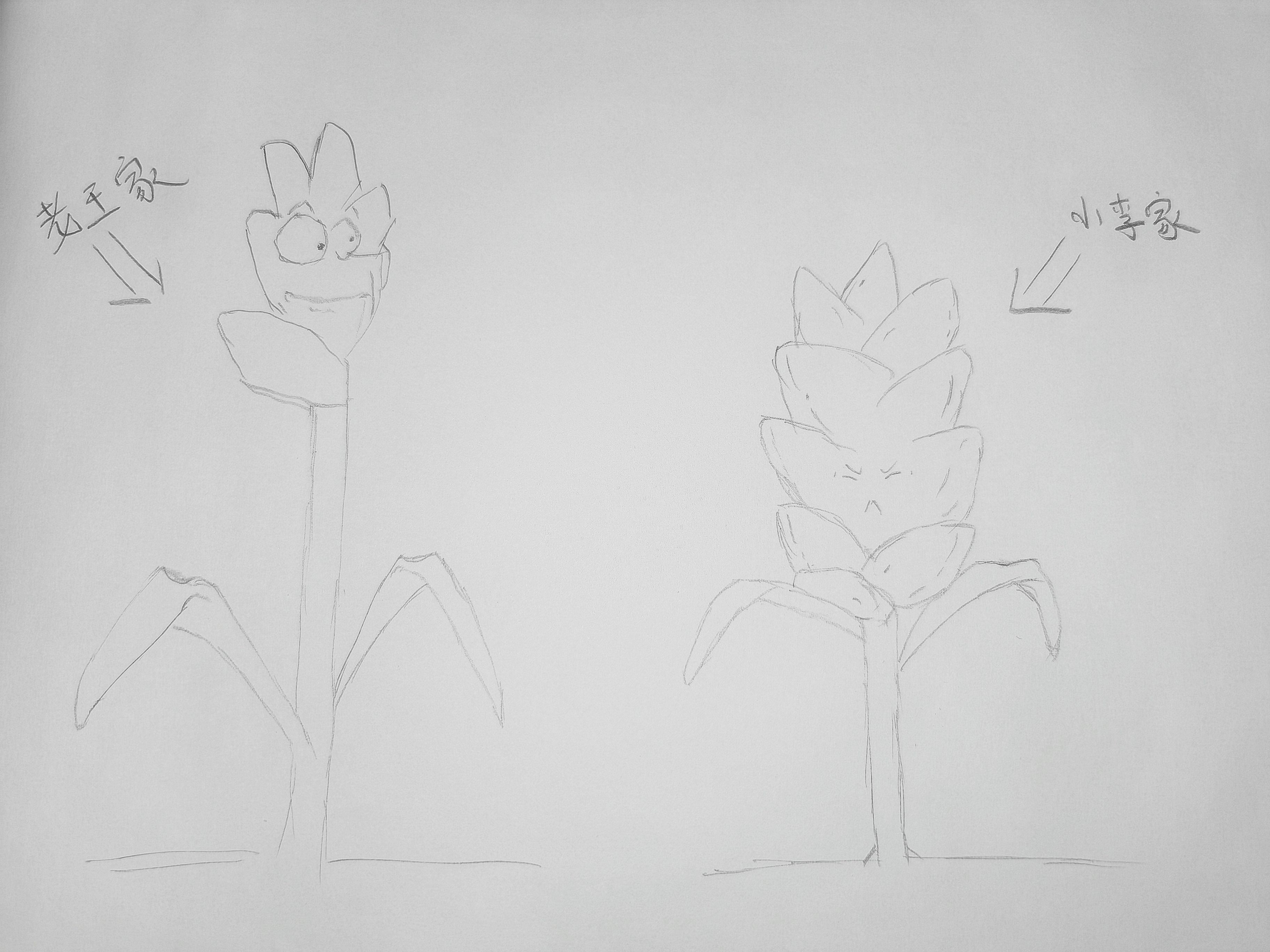 袁隆平在迪拜种水稻,袁隆平团队迪拜沙漠海水稻