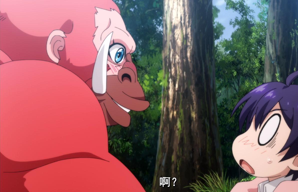 十月新番开局女主,十月新番动漫粉红猩猩