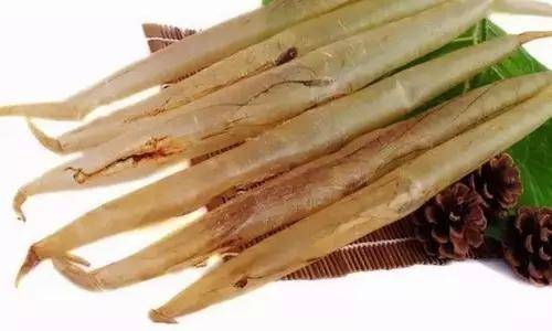 鱼胶知识大全视频,最全常识看完涨知识