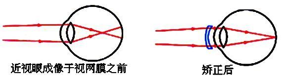 寒假物理八年级直播课,8年级暑假物理直播课程