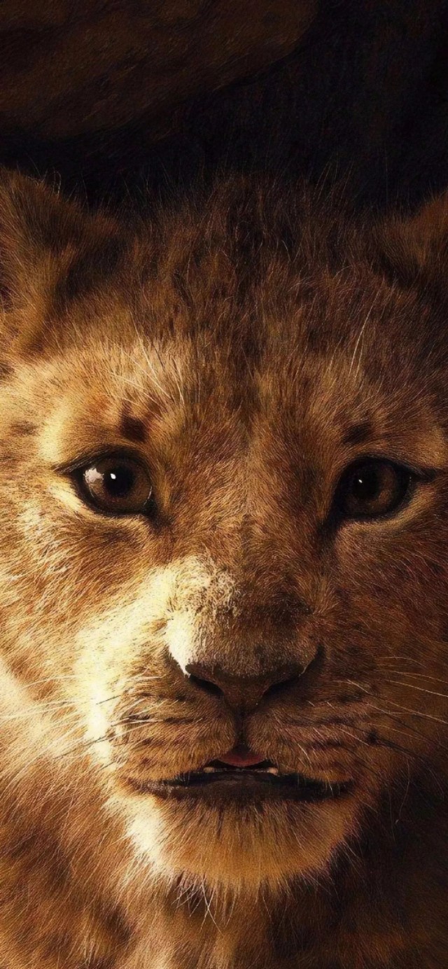 壁需有你,有格调高端超清壁纸