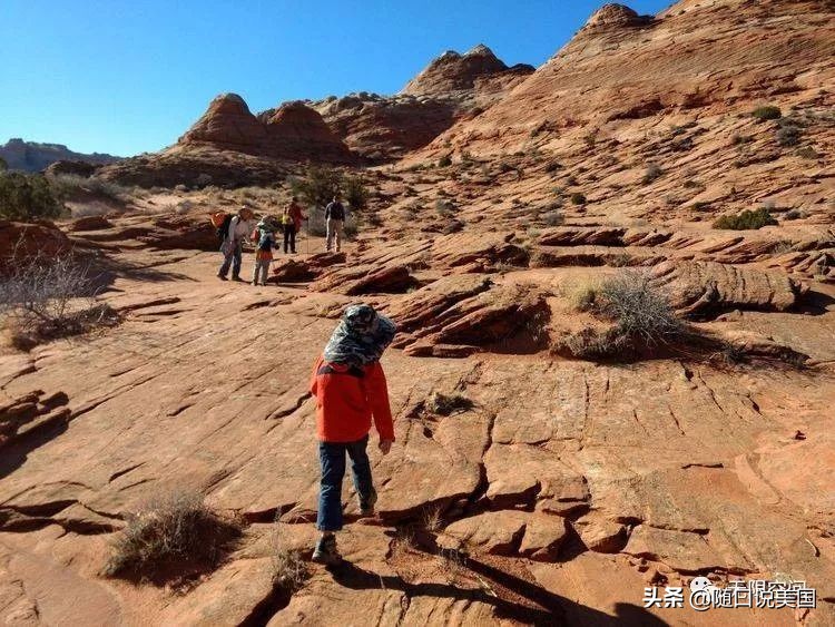 荒野乱斗流彩伊芙强度,荒野行动榴弹怎么用