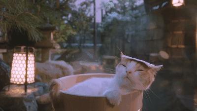 新年第一场旅行！这6处桂林人私藏的温泉秘境，帮你赶走严寒