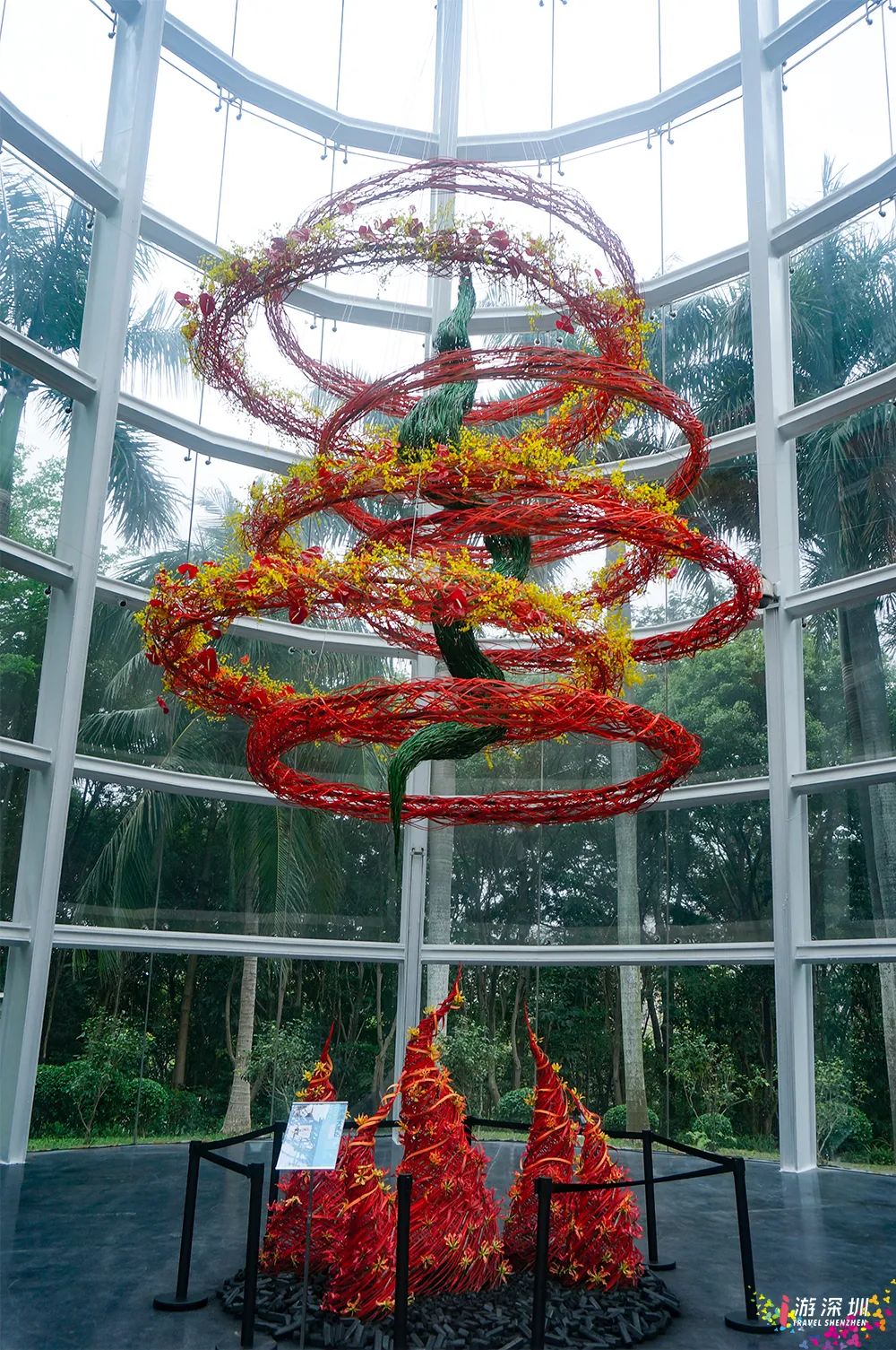 深圳花展2019年12月时间表,深圳第一场春天花展