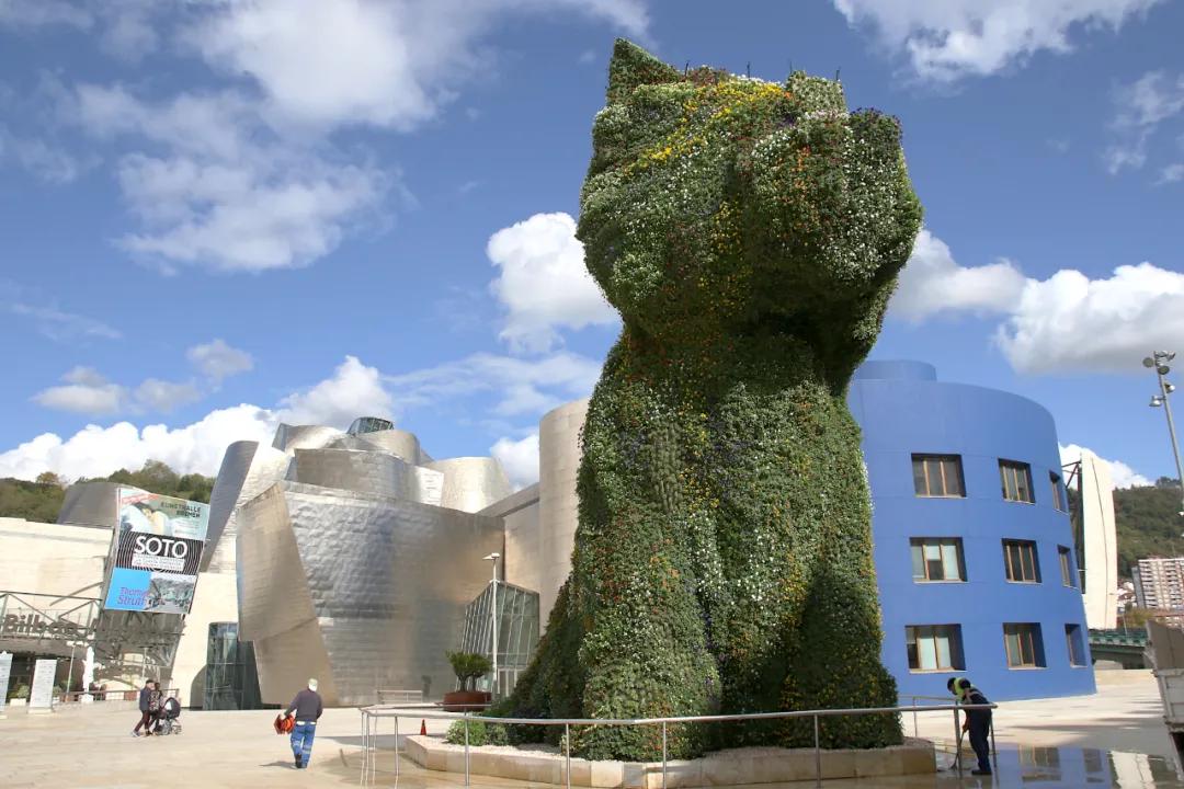 当你去旅行的时候,当你旅行的时候你在看什么