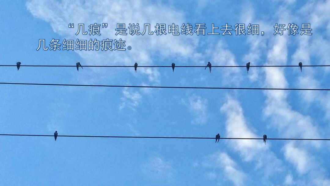 语文三年级下册燕子课文解析,三年级语文下册第2燕子课文重点